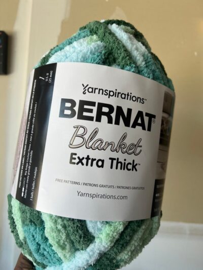 Bernat Blanket Extra Yarn-Black